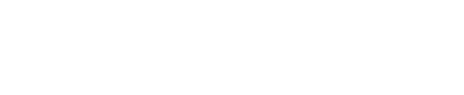 Áreas de Práctica